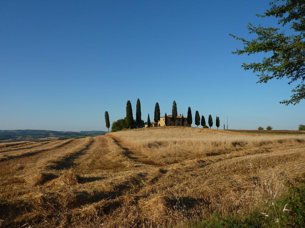 Camere Andrei Pienza Eksteriør bilde
