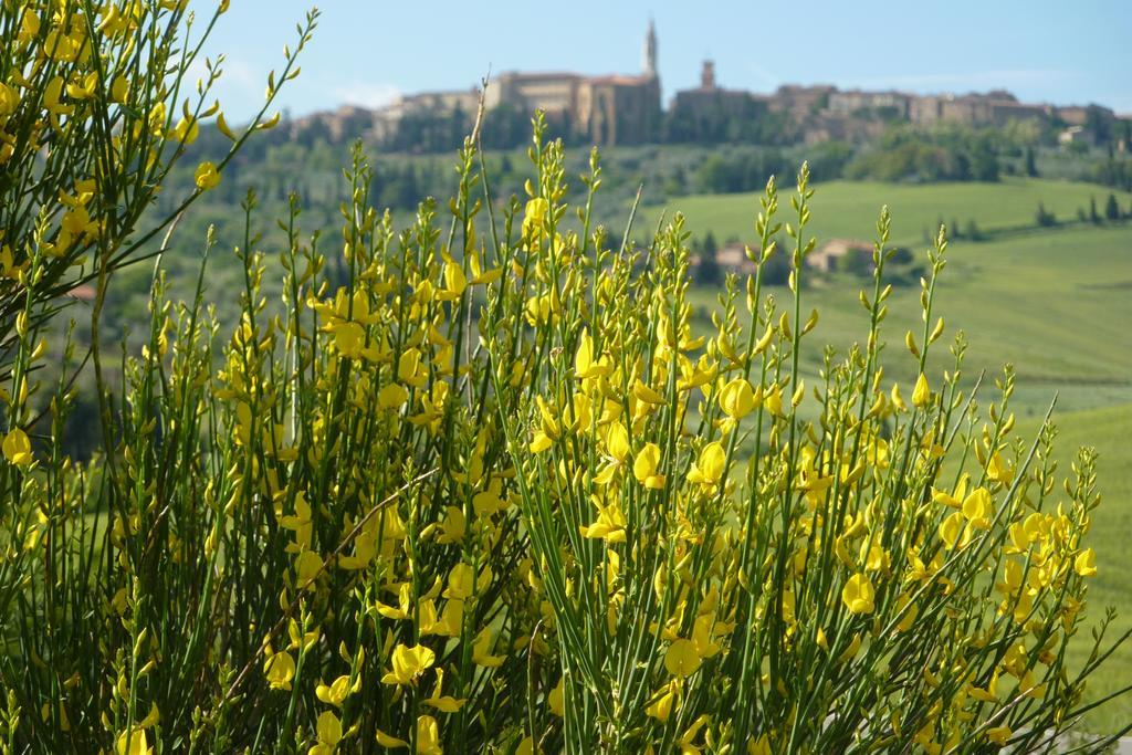 Camere Andrei Pienza Eksteriør bilde