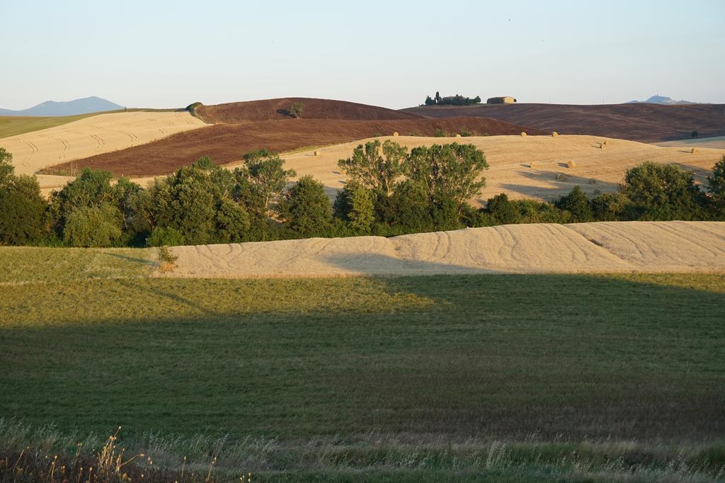 Camere Andrei Pienza Eksteriør bilde